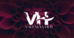 V Hub