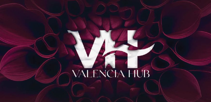 V Hub