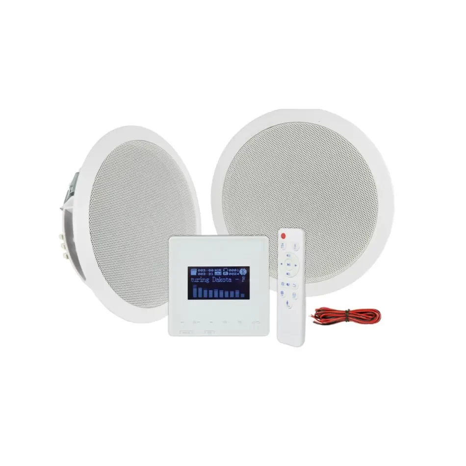 Advision Sound System Image