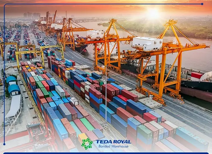 Understanding cargo management How to improve your transportation operations?